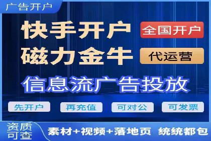 百度竞价代理实战技巧：经典案例深度解读