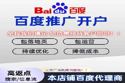 某公司SEM优化成功案例：从零到一的流量增长